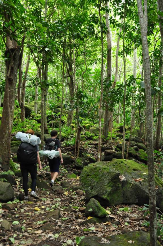 Cruzando uma mata no caminho para o Kalalao, na Na'Pali Coast, em Kauai, no Havaí
